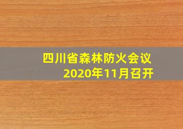 四川省森林防火会议2020年11月召开