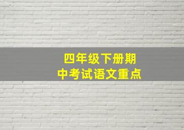 四年级下册期中考试语文重点