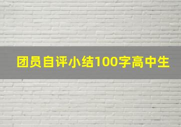 团员自评小结100字高中生