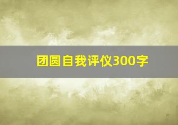 团圆自我评仪300字