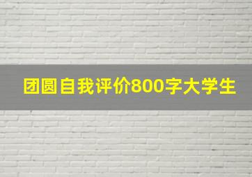 团圆自我评价800字大学生