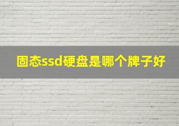 固态ssd硬盘是哪个牌子好