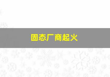 固态厂商起火