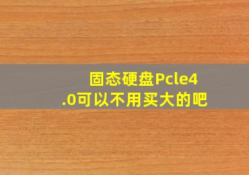 固态硬盘Pcle4.0可以不用买大的吧