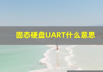 固态硬盘UART什么意思