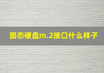 固态硬盘m.2接口什么样子