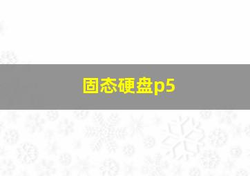 固态硬盘p5