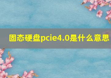 固态硬盘pcie4.0是什么意思