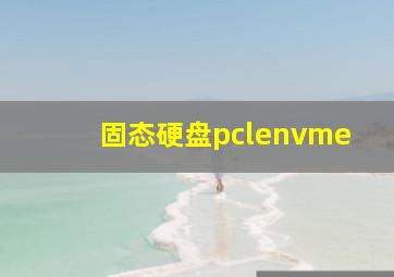 固态硬盘pclenvme