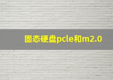 固态硬盘pcle和m2.0