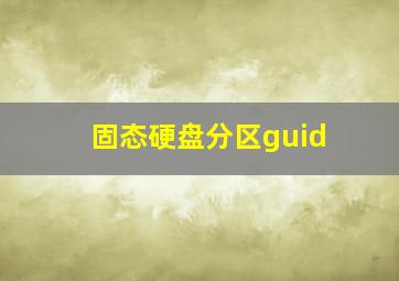 固态硬盘分区guid