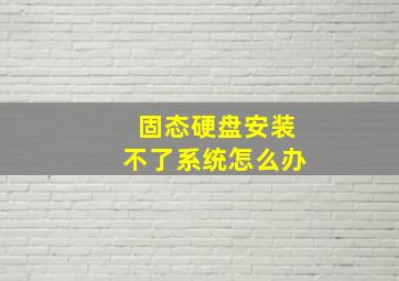 固态硬盘安装不了系统怎么办