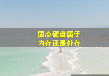 固态硬盘属于内存还是外存