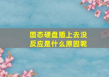 固态硬盘插上去没反应是什么原因呢