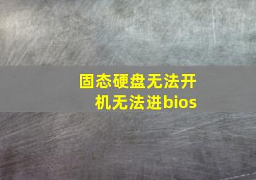 固态硬盘无法开机无法进bios