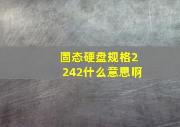 固态硬盘规格2242什么意思啊