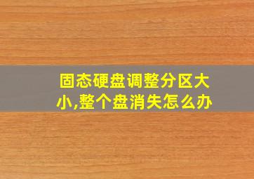 固态硬盘调整分区大小,整个盘消失怎么办