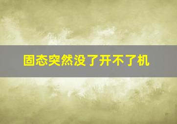 固态突然没了开不了机