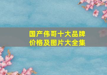 国产伟哥十大品牌价格及图片大全集