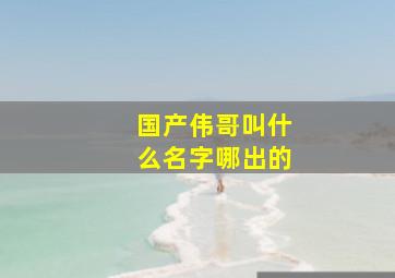 国产伟哥叫什么名字哪出的