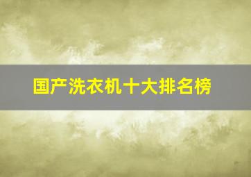 国产洗衣机十大排名榜