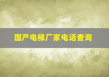 国产电梯厂家电话查询