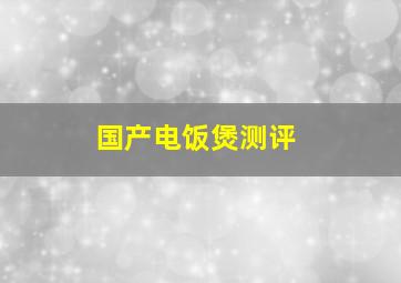 国产电饭煲测评