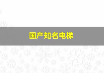 国产知名电梯