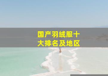 国产羽绒服十大排名及地区