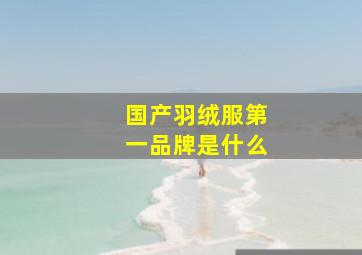 国产羽绒服第一品牌是什么