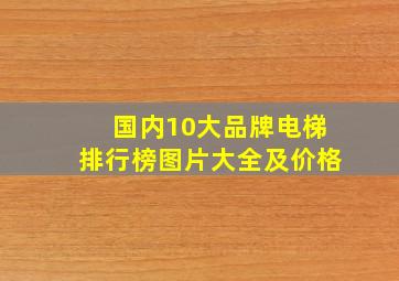 国内10大品牌电梯排行榜图片大全及价格