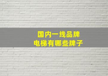 国内一线品牌电梯有哪些牌子