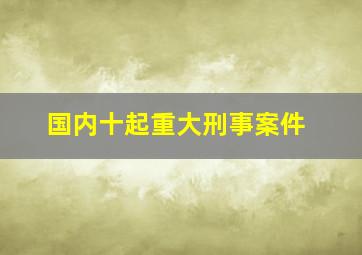 国内十起重大刑事案件