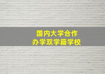 国内大学合作办学双学籍学校