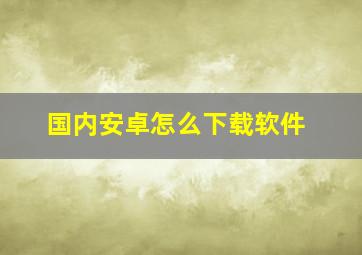 国内安卓怎么下载软件