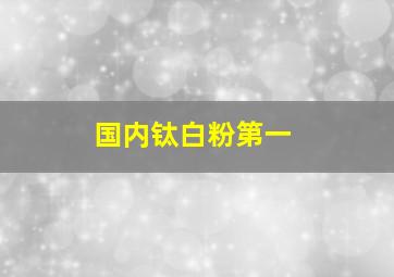 国内钛白粉第一