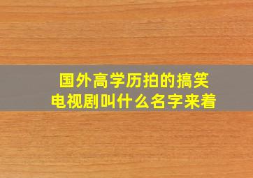 国外高学历拍的搞笑电视剧叫什么名字来着