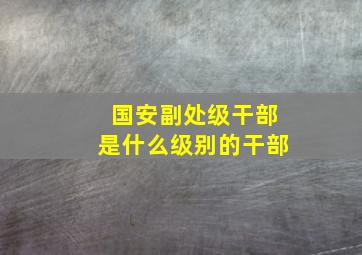 国安副处级干部是什么级别的干部