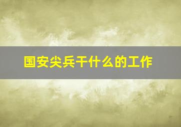 国安尖兵干什么的工作