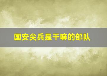 国安尖兵是干嘛的部队