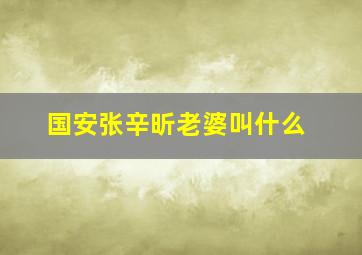 国安张辛昕老婆叫什么