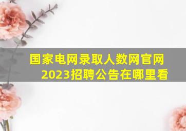 国家电网录取人数网官网2023招聘公告在哪里看