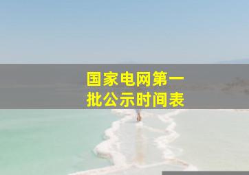 国家电网第一批公示时间表