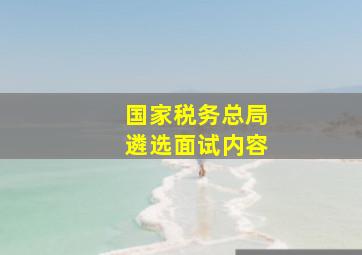 国家税务总局遴选面试内容