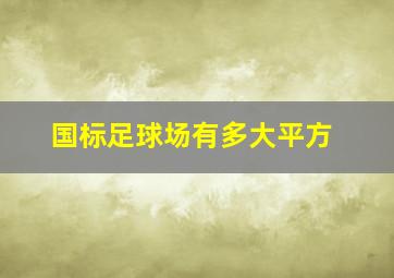 国标足球场有多大平方