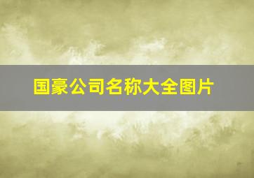 国豪公司名称大全图片