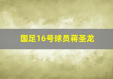 国足16号球员蒋圣龙