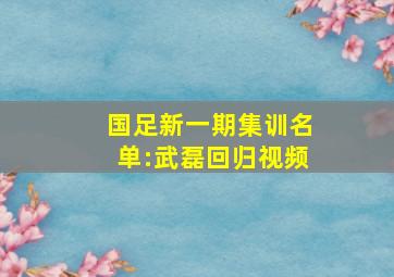 国足新一期集训名单:武磊回归视频