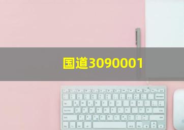 国道3090001