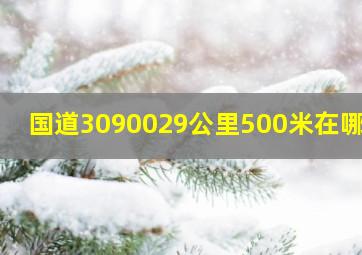 国道3090029公里500米在哪里